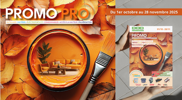 Feuilletez en ligne la Promo Pro !